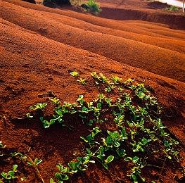 索尼下架多款恶意模仿和AI生成的伪劣游戏